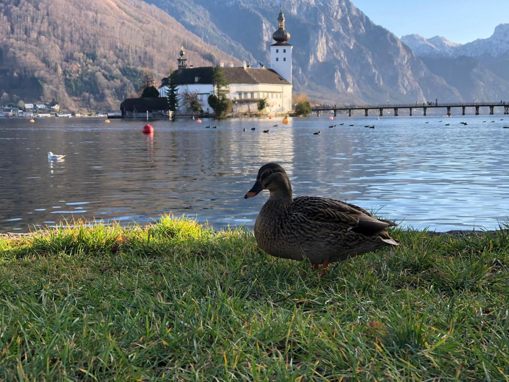 Seepanorama An Der Esplanade 1 Gmunden Exterior foto