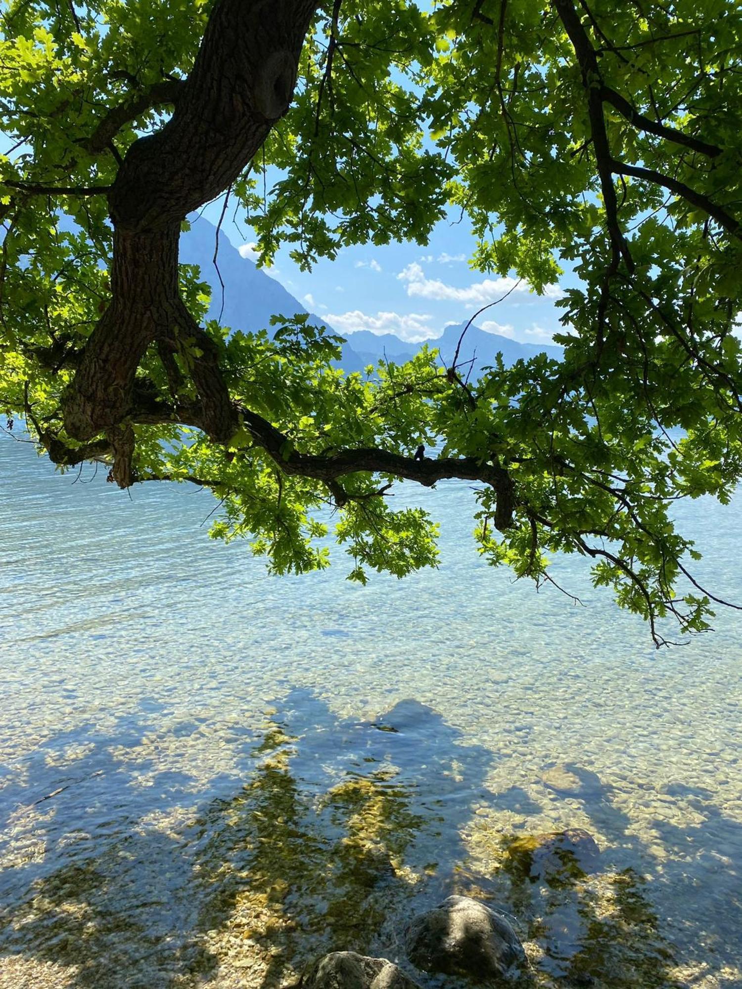 Seepanorama An Der Esplanade 1 Gmunden Exterior foto